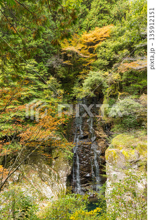 日本 広島県山県郡安芸太田町にある三段峡の姉妹滝と紅葉した木々 日本 広島県山県郡安芸太田町にある三段峡の姉妹滝と紅葉した木々 135912151