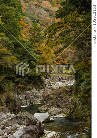 日本　広島県山県郡安芸太田町にある峡谷、三段峡の竜ノ口の岩壁と紅葉した木々 135912153