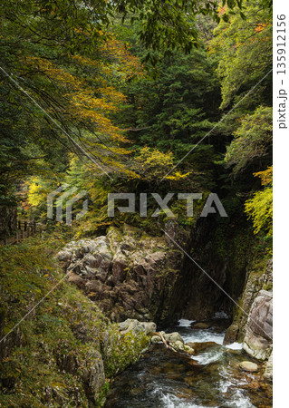 日本　広島県山県郡安芸太田町にある峡谷、三段峡の竜ノ口の岩壁と紅葉した木々 135912156