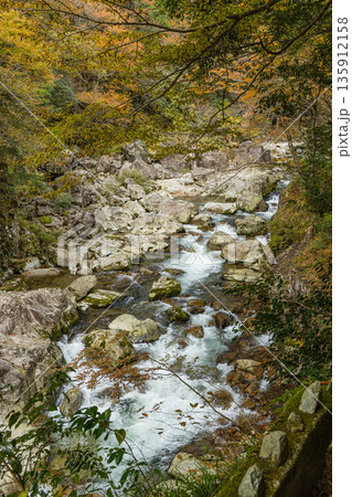 日本 広島県山県郡安芸太田町にある峡谷、三段峡の川沿いの岩壁と紅葉した木々 日本 広島県山県郡安芸太田町にある峡谷、三段峡の川沿いの岩壁と紅葉した木々 135912158