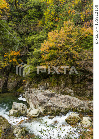 日本　広島県山県郡安芸太田町にある峡谷、三段峡の川沿いの岩壁と紅葉した木々 135912159
