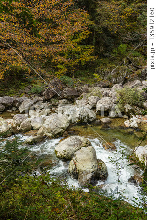日本 広島県山県郡安芸太田町にある峡谷、三段峡の川沿いの岩壁と紅葉した木々 日本 広島県山県郡安芸太田町にある峡谷、三段峡の川沿いの岩壁と紅葉した木々 135912160