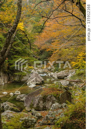 日本 広島県山県郡安芸太田町にある峡谷、三段峡の川沿いの岩壁と紅葉した木々 日本 広島県山県郡安芸太田町にある峡谷、三段峡の川沿いの岩壁と紅葉した木々 135912168