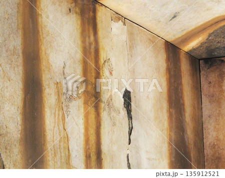奈良県 キトラ古墳壁画 白虎 奈良県 キトラ古墳壁画 白虎 135912521