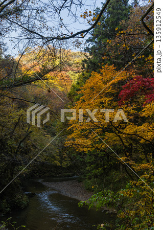 日本 広島県庄原市東城町にある帝釈峡 上帝釈の帝釈川沿いの紅葉した木々 日本 広島県庄原市東城町にある帝釈峡 上帝釈の帝釈川沿いの紅葉した木々 135912549