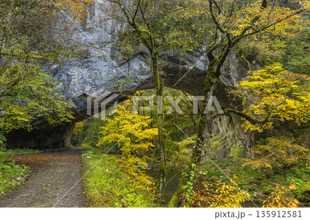 日本　広島県庄原市東城町にある帝釈峡　上帝釈にある天然橋の雄橋と紅葉した木々 135912581