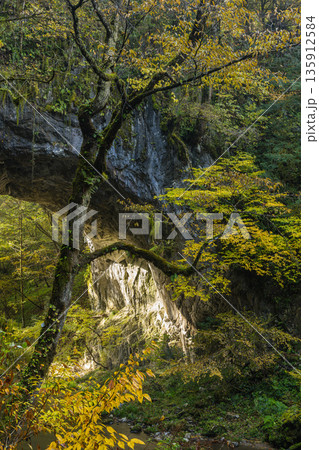 日本 広島県庄原市東城町にある帝釈峡 上帝釈にある天然橋の雄橋と紅葉した木々 日本 広島県庄原市東城町にある帝釈峡 上帝釈にある天然橋の雄橋と紅葉した木々 135912584