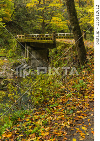 日本 広島県庄原市東城町にある帝釈峡 上帝釈の帝釈川沿いの紅葉した木々 日本 広島県庄原市東城町にある帝釈峡 上帝釈の帝釈川沿いの紅葉した木々 135912612
