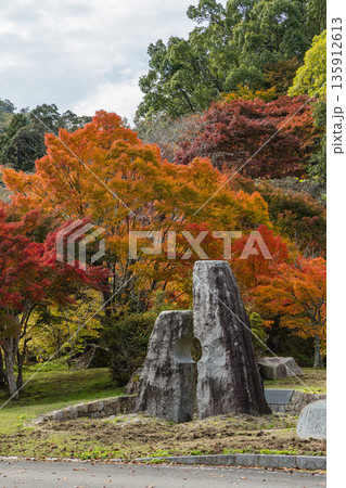 日本　広島県三原市八幡町にある御調八幡宮の紅葉した木々 135912613