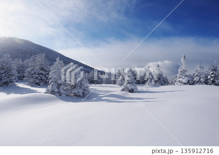 まだ誰も足を踏み入れていない雪原 135912716