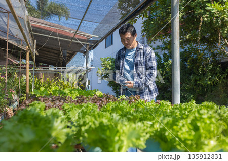 Man farmer checking of organic Organic vegetables freshly harvested from a farm.  135912831