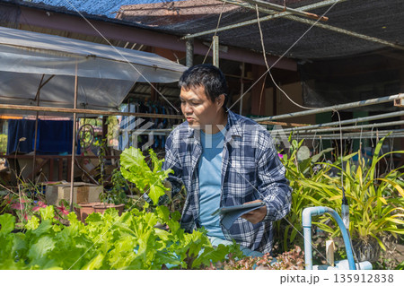 Man farmer checking of organic Organic vegetables freshly harvested from a farm.  135912838