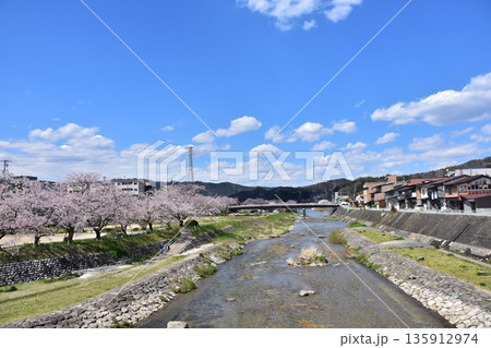 日本の岐阜県の高山市 満開の桜と美しい青空 宮川と歩道になっている土手 周辺の街並みと住居 日本の岐阜県の高山市 満開の桜と美しい青空 宮川と歩道になっている土手 周辺の街並みと住居 135912974