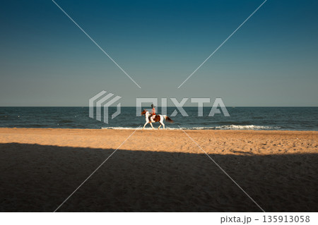 Horse Riding Service Along the Beach in Phetchaburi Horse Riding Service Along the Beach in Phetchaburi 135913058