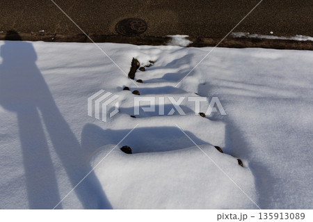 雪に覆われた冬の園路階段と静寂を感じるガーデン風景 135913089