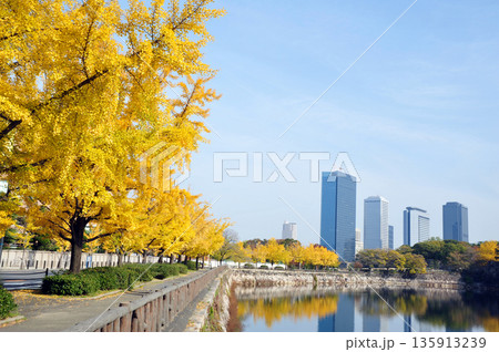 秋の紅葉に染まる大阪城外堀とビジネスパーク 秋の紅葉に染まる大阪城外堀とビジネスパーク 135913239