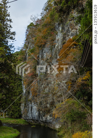 日本 広島県庄原市東城町にある帝釈峡 上帝釈の帝釈川沿いの紅葉した木々 日本 広島県庄原市東城町にある帝釈峡 上帝釈の帝釈川沿いの紅葉した木々 135913619