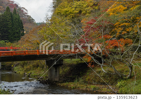 日本　広島県庄原市東城町にある帝釈峡　上帝釈の帝釈川沿いの紅葉した木々 135913623