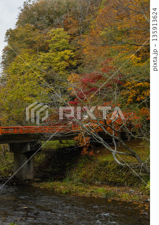 日本 広島県庄原市東城町にある帝釈峡 上帝釈の帝釈川沿いの紅葉した木々 日本 広島県庄原市東城町にある帝釈峡 上帝釈の帝釈川沿いの紅葉した木々 135913624
