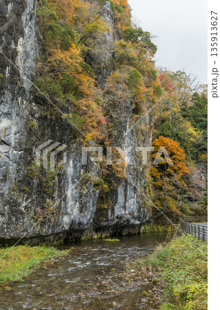 日本　広島県庄原市東城町にある帝釈峡　上帝釈の帝釈川沿いの絶壁と紅葉した木々 135913627
