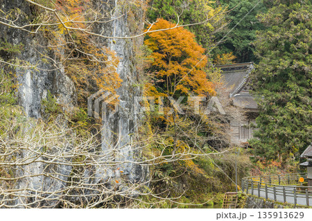 日本 広島県庄原市東城町にある帝釈峡 上帝釈の帝釈川沿いの絶壁と紅葉した木々 日本 広島県庄原市東城町にある帝釈峡 上帝釈の帝釈川沿いの絶壁と紅葉した木々 135913629