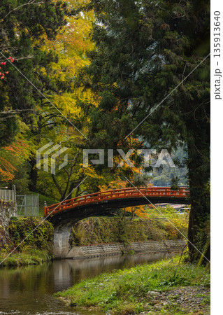 日本 広島県庄原市東城町にある帝釈峡 上帝釈の帝釈川沿いの紅葉した木々 日本 広島県庄原市東城町にある帝釈峡 上帝釈の帝釈川沿いの紅葉した木々 135913640
