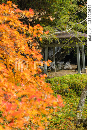 日本　広島県庄原市東城町にある帝釈峡　上帝釈にある賽の河原近くの鐘楼と紅葉 135913643