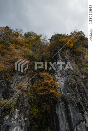 日本 広島県庄原市東城町にある帝釈峡 上帝釈の帝釈川沿いの絶壁と紅葉した木々 日本 広島県庄原市東城町にある帝釈峡 上帝釈の帝釈川沿いの絶壁と紅葉した木々 135913648
