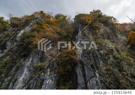 日本　広島県庄原市東城町にある帝釈峡　上帝釈の帝釈川沿いの絶壁と紅葉した木々 135913649