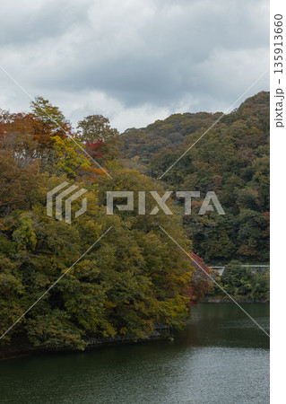 日本 広島県庄原市東城町にある帝釈峡 ダム湖である神龍湖と紅葉した木々 日本 広島県庄原市東城町にある帝釈峡 ダム湖である神龍湖と紅葉した木々 135913660