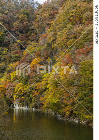 日本　広島県庄原市東城町にある帝釈峡　ダム湖である神龍湖と紅葉した木々 135913666