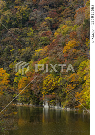 日本　広島県庄原市東城町にある帝釈峡　ダム湖である神龍湖と紅葉した木々 135913668