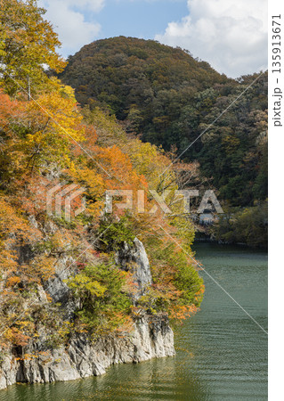 日本　広島県庄原市東城町にある帝釈峡　ダム湖である神龍湖と紅葉した木々 135913671