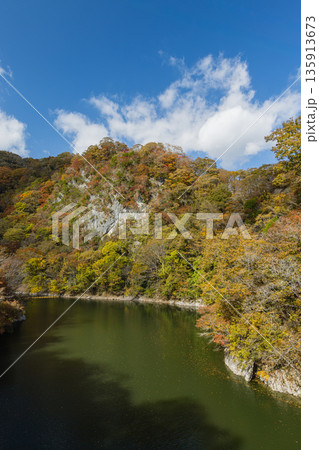 日本 広島県庄原市東城町にある帝釈峡 ダム湖である神龍湖と紅葉した木々 日本 広島県庄原市東城町にある帝釈峡 ダム湖である神龍湖と紅葉した木々 135913673