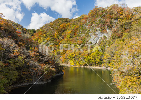 日本　広島県庄原市東城町にある帝釈峡　ダム湖である神龍湖と紅葉した木々 135913677