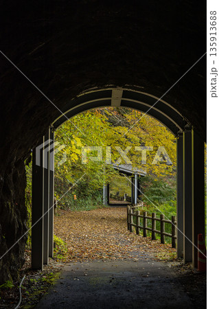 日本　広島県庄原市東城町にある帝釈峡　ダム湖である神龍湖の紅葉した木々 135913688
