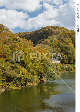 日本　広島県庄原市東城町にある帝釈峡　ダム湖である神龍湖と紅葉した木々 135913693