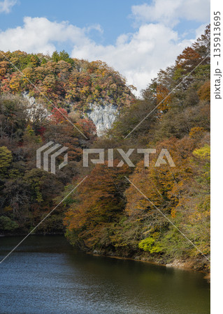 日本　広島県庄原市東城町にある帝釈峡　ダム湖である神龍湖と紅葉した木々 135913695
