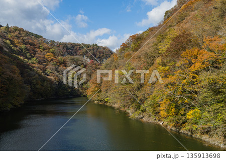 日本　広島県庄原市東城町にある帝釈峡　ダム湖である神龍湖と紅葉した木々 135913698
