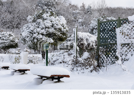 雪に覆われた冬のぎふワールドローズガーデンのバラ園風景 雪に覆われた冬のぎふワールドローズガーデンのバラ園風景 135913835