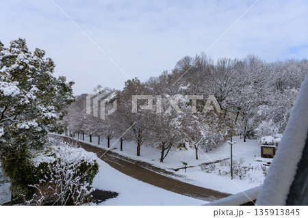 雪に覆われた冬のぎふワールドローズガーデンのバラ園風景 135913845