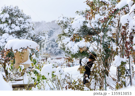 雪に覆われた冬のぎふワールドローズガーデンのバラ園風景 135913853