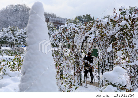 雪に覆われた冬のぎふワールドローズガーデンのバラ園風景 135913854