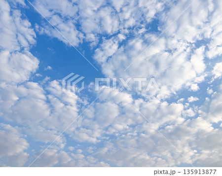 Scattered white clouds form a soft pattern across blue sky. Natural light creates even texture without strong contrast. Scattered white clouds form a soft pattern across blue sky. Natural light creates even texture without strong contrast. 135913877