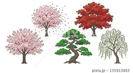 桜・紅葉・松・柳など日本の四季を彩る木々のイラストセット 桜・紅葉・松・柳など日本の四季を彩る木々のイラストセット 135913883