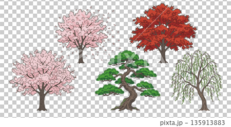 桜・紅葉・松・柳など日本の四季を彩る木々のイラストセット 桜・紅葉・松・柳など日本の四季を彩る木々のイラストセット 135913883