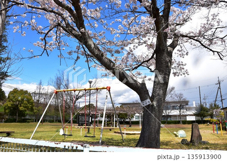 滋賀県高島市 住吉公園の遊具と満開桜 滋賀県高島市 住吉公園の遊具と満開桜 135913900