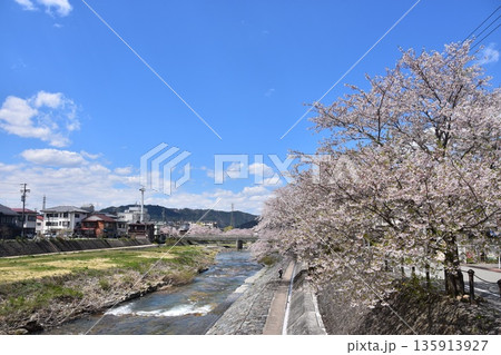 岐阜県の高山市　満開の桜と美しい青空　宮川沿いを歩く親子とリュックを背負う少女　周辺の街並みと住居 135913927