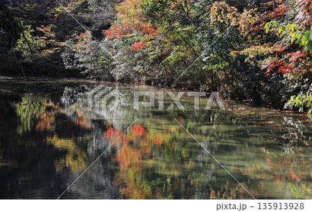 栗林公園南庭、鹿鳴原の西湖岸から南の睡竜潭方向を見る 135913928