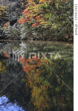 栗林公園南庭、鹿鳴原の西湖岸から南の睡竜潭方向を見る 135913931